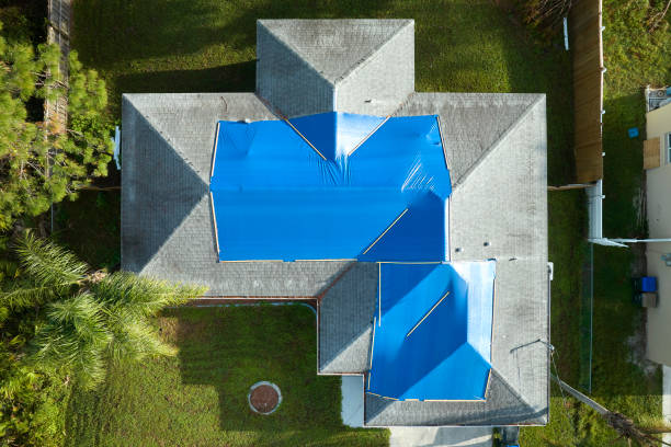 Best Roof Insulation Installation  in Cottonwood, AL